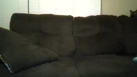 Snapshot of aliendick2274 chatting on 02-24-26, 08:23 aliendick2274 online show from 02-24-26, 08:23