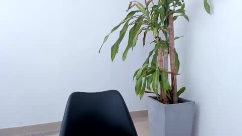 Alice online show from 10-26-25, 03:18