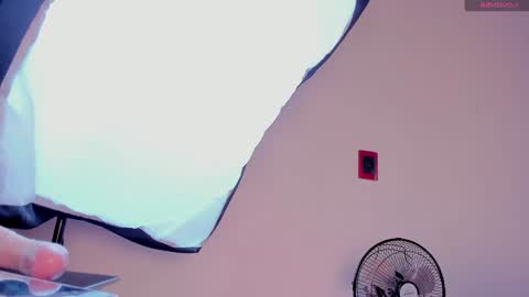 Snapshot of aliice_smithh chatting on 12-20-24, 12:49 Alice online show from 12-20-24, 12:49