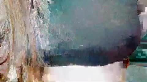 alisesexydoll777 online show from 12-25-24, 04:54