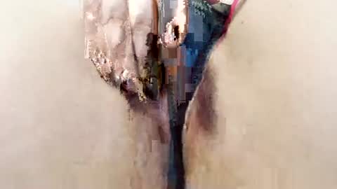 alisesexydoll777 online show from 01-13-26, 04:56