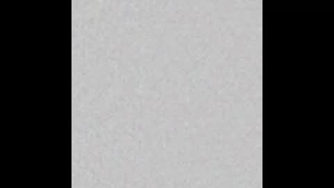 Alisse online show from 02-25-26, 12:04