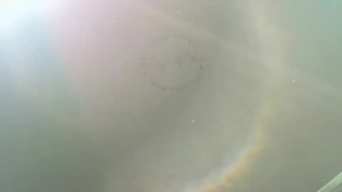 Snapshot of alisson__wood chatting on 11-17-25, 03:07 ALISON WOOD online show from 11-17-25, 03:07