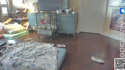Snapshot of alizezaide chatting on 01-10-25, 10:04 Alize Zaide online show from 01-10-25, 10:04