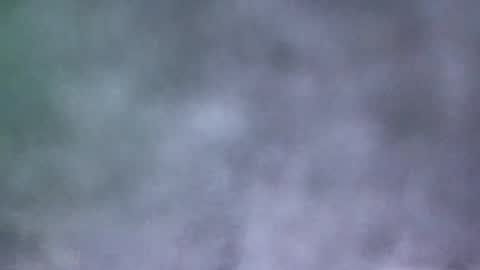 Snapshot of all_most_sane chatting on 05-19-26, 04:02 all_most_sane online show from 05-19-26, 04:02
