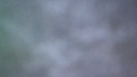 Snapshot of all_most_sane chatting on 05-20-26, 02:45 all_most_sane online show from 05-20-26, 02:45