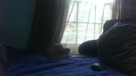 allbermy online show from 02-23-25, 09:48