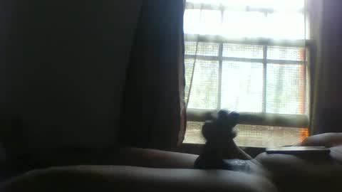 allbermy online show from 11-11-25, 06:08