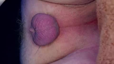 Growing Wiener online show from 03-27-26, 12:38