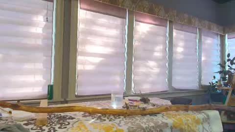 wishlist on bio online show from 10-25-25, 07:08