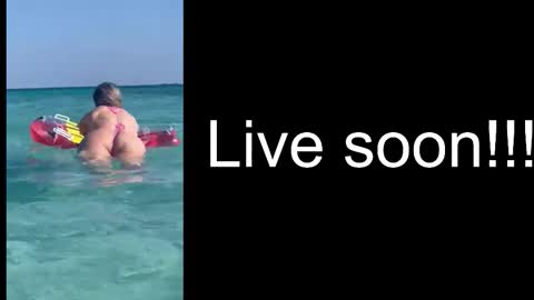 Snapshot of alliesynns chatting on 11-02-25, 05:32 Allie online show from 11-02-25, 05:32