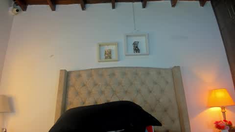 Snapshot of allisson_m chatting on 02-26-26, 12:04 allisson online show from 02-26-26, 12:04