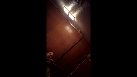 allister666pitfiend online show from 02-13-26, 09:05