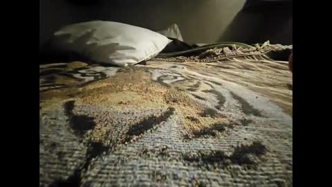 Allnikkiallday1 online show from 01-18-25, 08:41