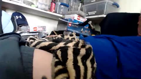 Snapshot of allwolf0323 chatting on 03-13-26, 09:32 allwolf0323 online show from 03-13-26, 09:32