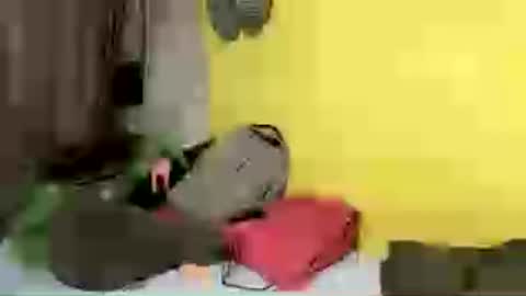 allyam online show from 06-27-26, 12:33
