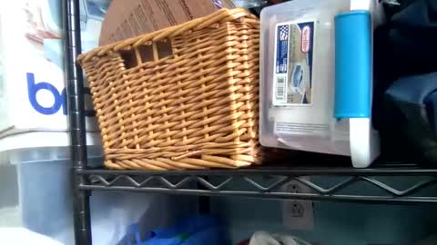 allyanalangel online show from 01-05-26, 06:33