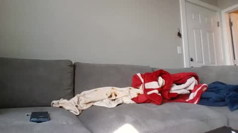 allylove2626 online show from 09-09-25, 04:39