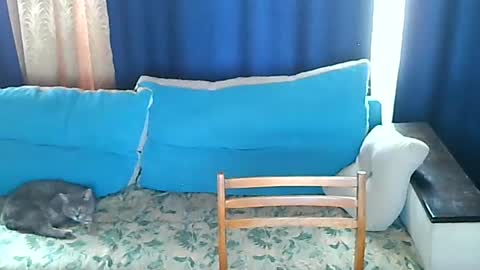 almirsex online show from 06-28-26, 09:15