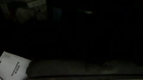 Loooopy online show from 02-01-25, 11:58