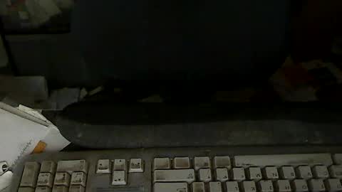 Snapshot of aloooopyscot chatting on 07-24-26, 06:39 Loooopy online show from 07-24-26, 06:39