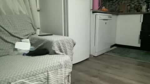 Snapshot of alphandre chatting on 02-22-25, 06:30 AlphAndre online show from 02-22-25, 06:30