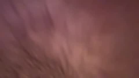 alphazack14 online show from 02-19-25, 03:49