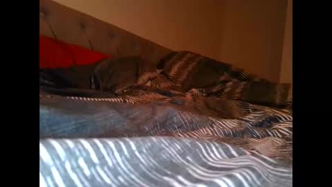 Snapshot of alwaysdownforwhatev chatting on 10-26-25, 04:40 alwaysdownforwhatev online show from 10-26-25, 04:40