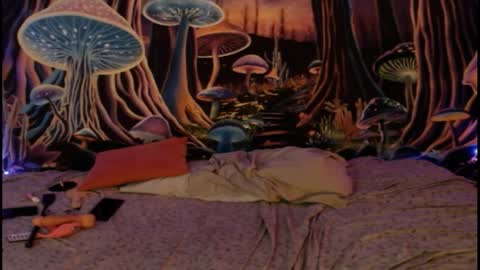 alyssaarcane online show from 04-01-26, 12:55