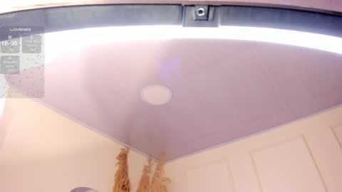 Amara Lewis online show from 01-24-25, 12:10