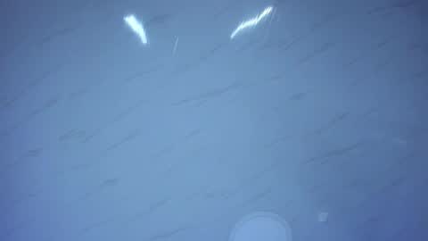 Emily online show from 01-31-26, 07:11