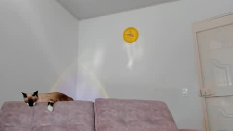 Tammy online show from 02-15-25, 08:54