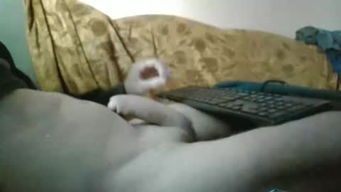 amazingcuteboy845 online show from 09-29-25, 01:16