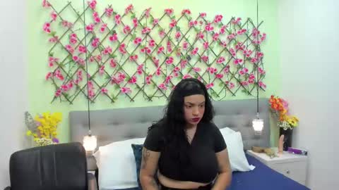 ambar85 online show from 11-22-25, 03:49