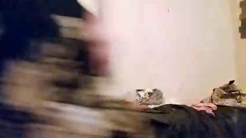 amberjohnson1387 online show from 03-15-26, 11:44