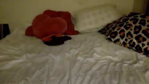 Snapshot of amberloves2write chatting on 02-08-25, 02:58 Amberloves2write aka AmberMyBelle online show from 02-08-25, 02:58