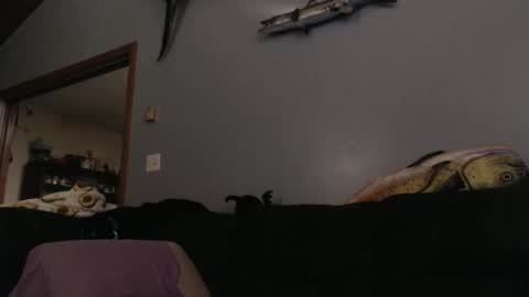 ambers666999 online show from 10-25-25, 02:19