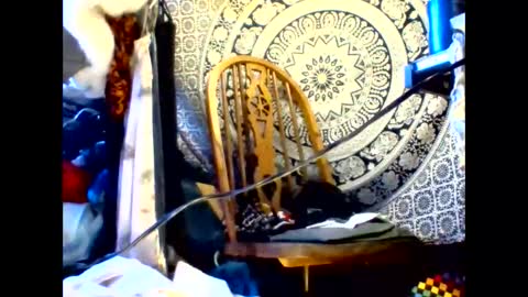 ambionce online show from 05-19-26, 08:42