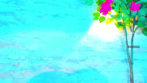  AMELIA.  online show from 10-01-25, 09:21