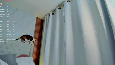 Snapshot of amelie_leigh chatting on 02-28-25, 07:37 Alejandra online show from 02-28-25, 07:37