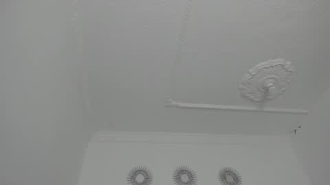 Snapshot of amira_pearl chatting on 09-17-25, 11:34 Amira online show from 09-17-25, 11:34