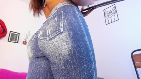 Snapshot of amisi_ari chatting on 01-08-25, 08:07 hi guys im ariani ill be off till december 1st for vacation if u want u can add me on snapchat by bio and talk or play there online show from 01-08-25, 08:07