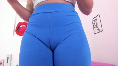Snapshot of amisi_ari chatting on 01-24-25, 06:46 hi guys im ariani ill be off till december 1st for vacation if u want u can add me on snapchat by bio and talk or play there online show from 01-24-25, 06:46