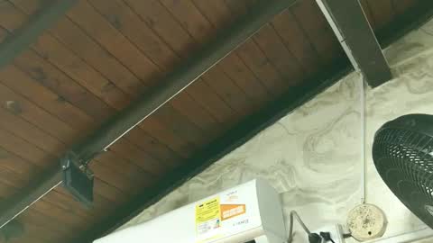 Snapshot of amy_greenee chatting on 03-01-26, 11:34 amy_greenee online show from 03-01-26, 11:34