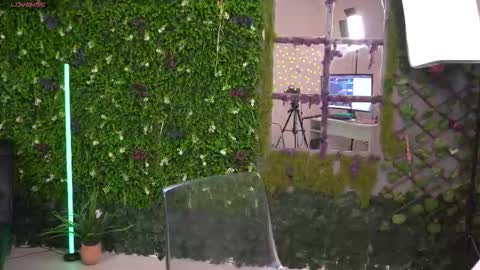 Ana online show from 01-31-26, 07:11