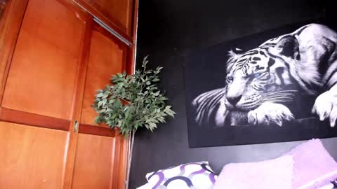 Anahi online show from 12-22-24, 05:42