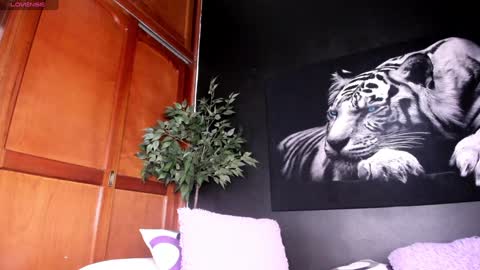 Anahi online show from 12-24-24, 06:33