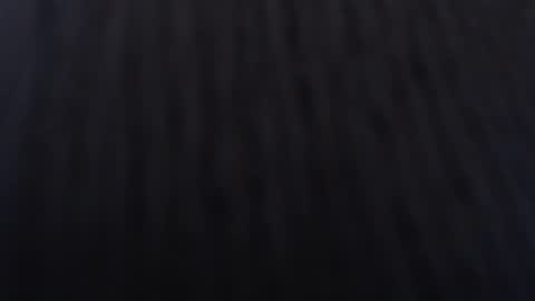   online show from 01-02-25, 12:03