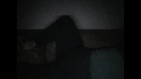 andellus online show from 11-02-25, 11:18