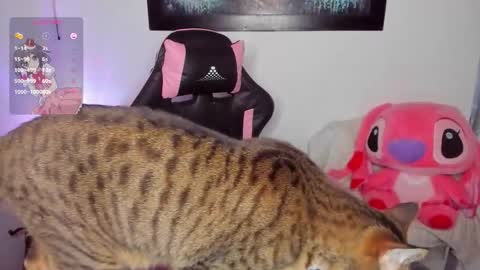 Andrea online show from 03-08-26, 07:01